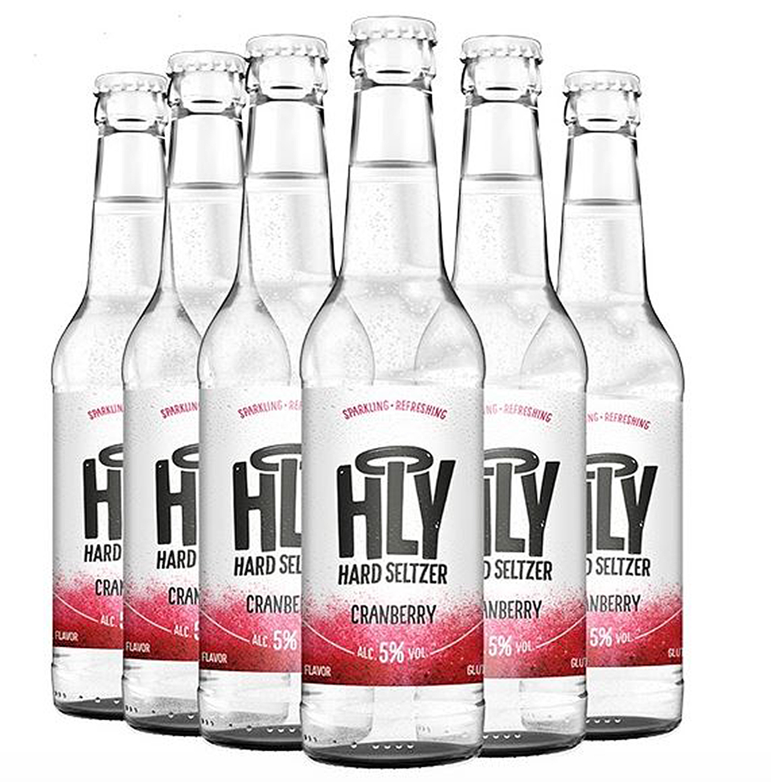 Holy Hard Seltzer Cranberry 0,33l 5%vol.